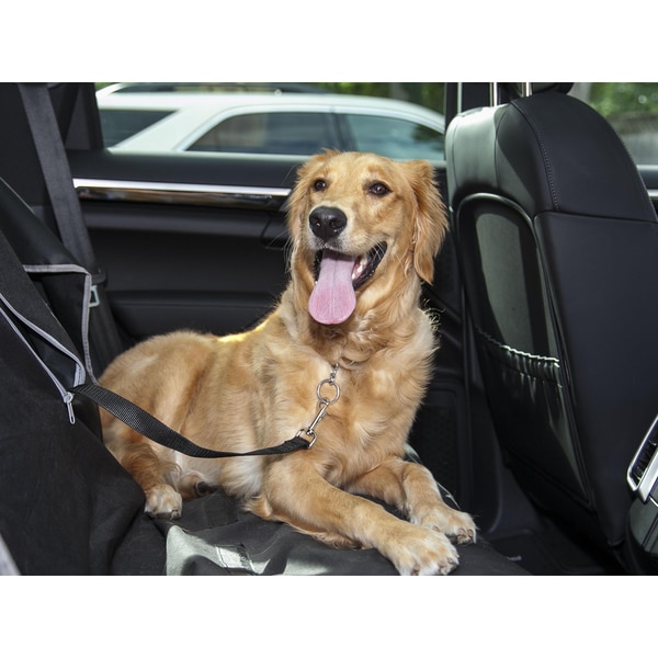 Pet Seat Belt >> Shop Lucybelle Pets Black Nylon Stainless Steel Pet Car Seat Belt Pet Seat Belt >> Shop Lucybelle Pets Black Nylon Stainless Steel Pet Car Seat Belt