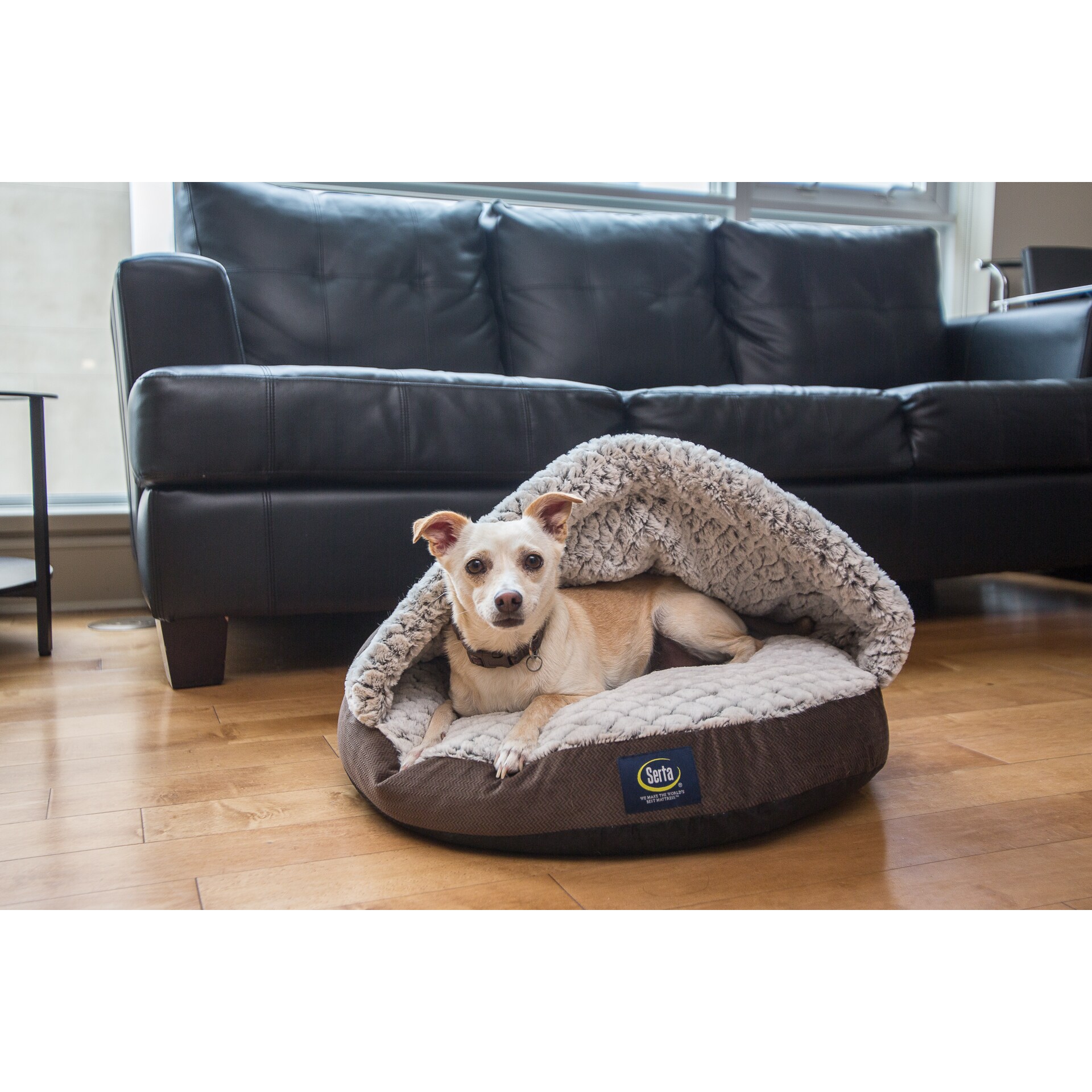 serta nest pet bed