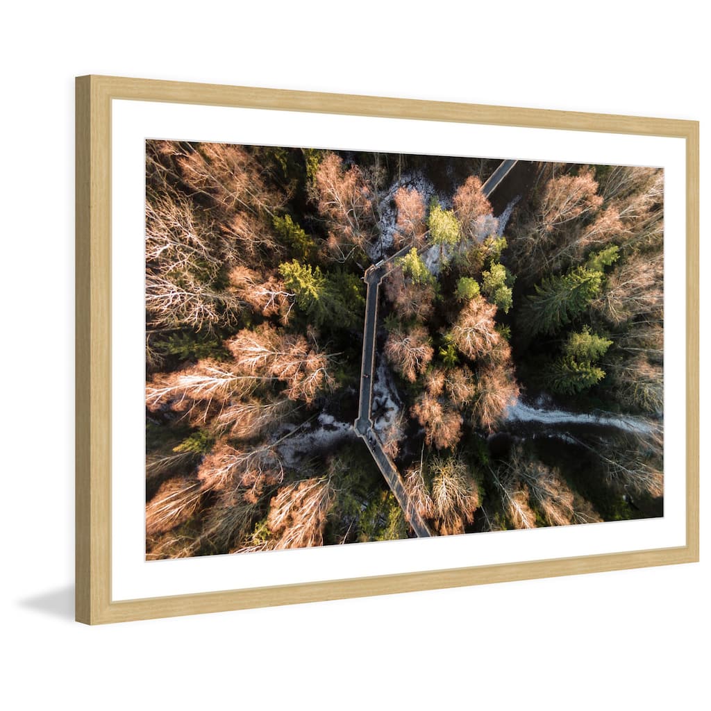 Marmont Hill - 'Walkway Through Trees' by Karolis Janulis Framed Painting Print - Multi-Color
