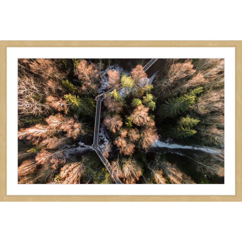 Marmont Hill - 'Walkway Through Trees' by Karolis Janulis Framed Painting Print - Multi-Color