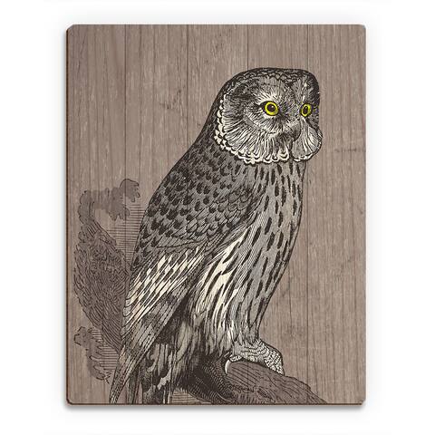 Owl Illustration' Wood Wall Art