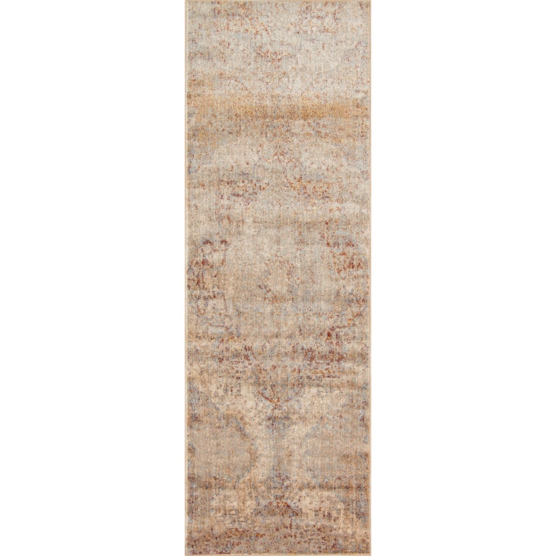 Alexander Home Contessa Traditional Medallion Desert Distressed Rug