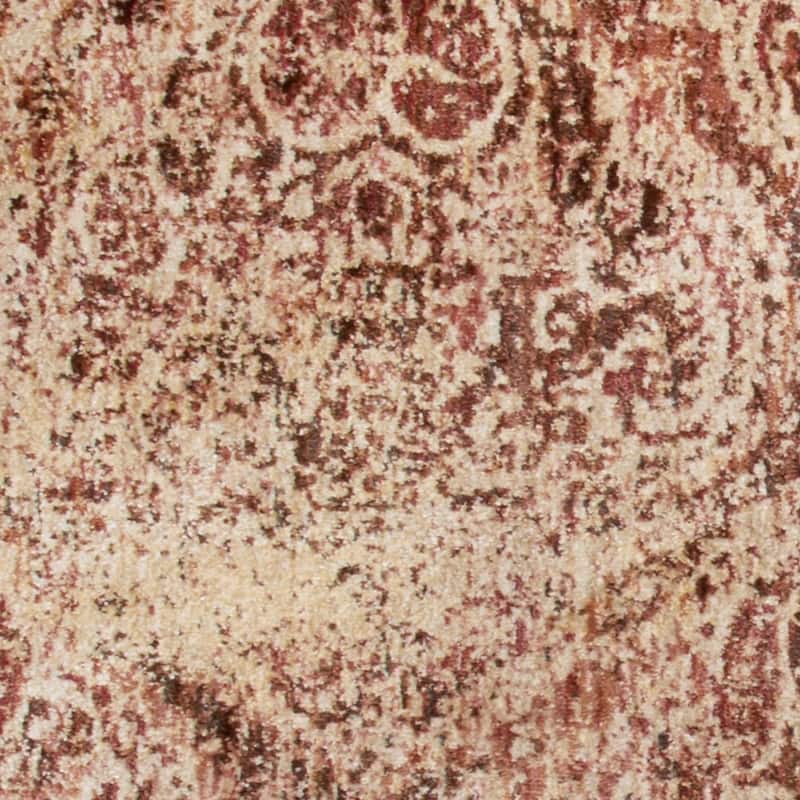 Alexander Home Contessa Traditional Distressed Rug