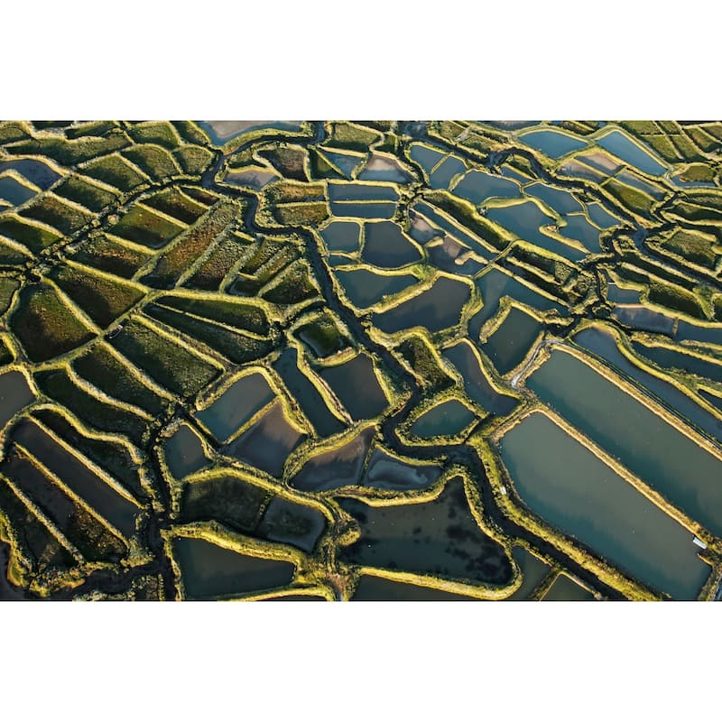 Marmont Hill - 'Waterways' Painting Print on Wrapped Canvas - Multi-Color
