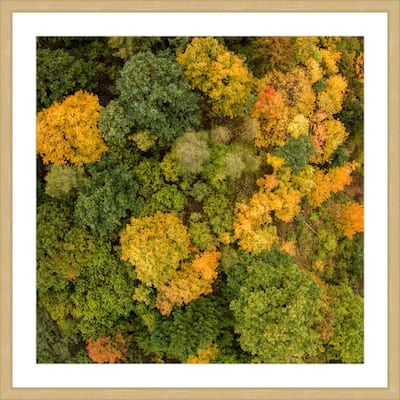 Marmont Hill - 'Bush Bunch' by Karolis Janulis Framed Painting Print - Multi-Color