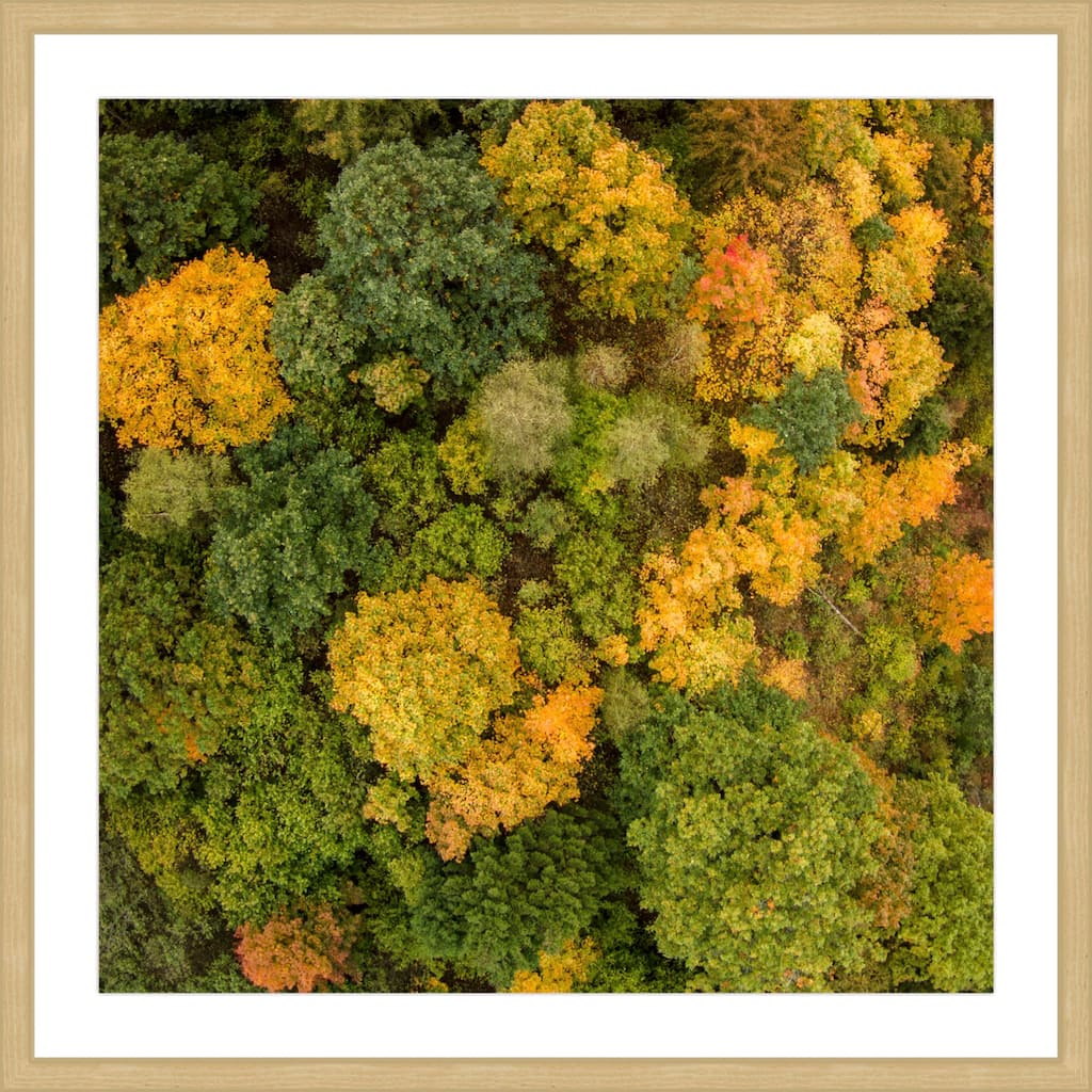 Marmont Hill - 'Bush Bunch' by Karolis Janulis Framed Painting Print - Multi-Color