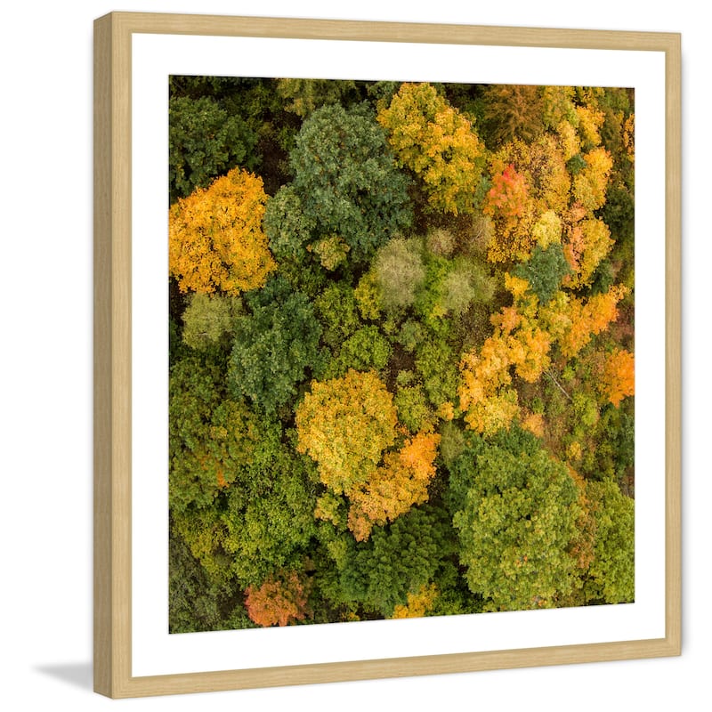 Marmont Hill - 'Bush Bunch' by Karolis Janulis Framed Painting Print - Multi-Color