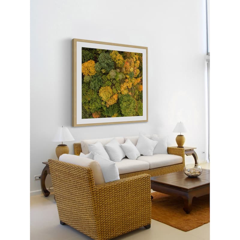 Marmont Hill - 'Bush Bunch' by Karolis Janulis Framed Painting Print - Multi-Color