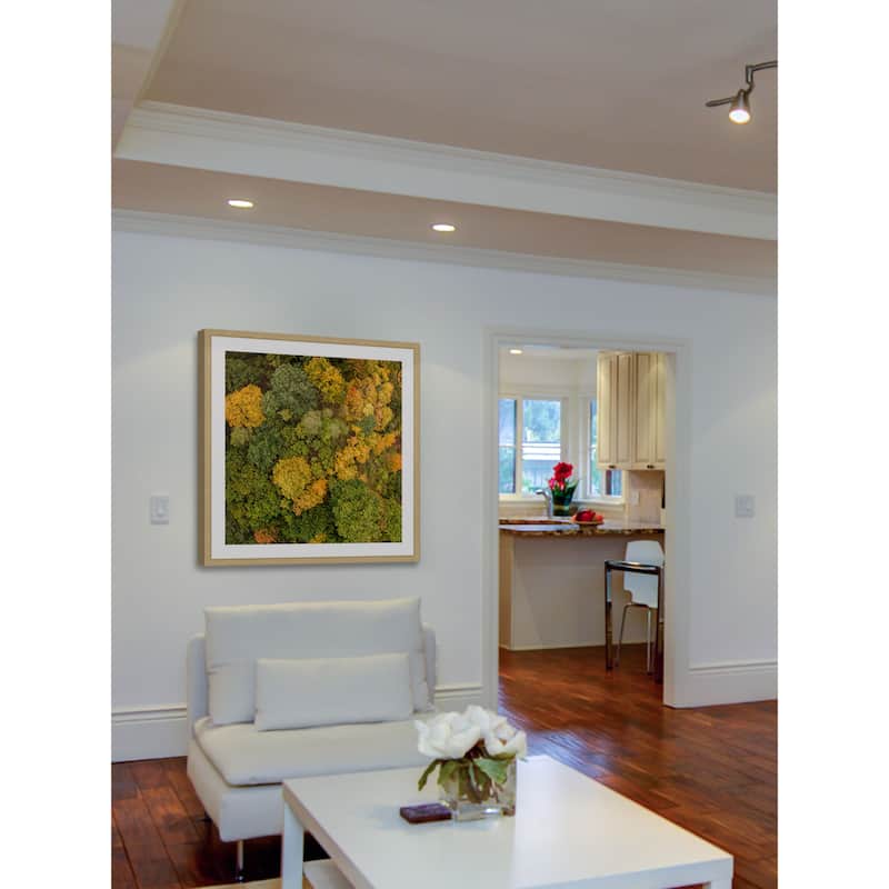 Marmont Hill - 'Bush Bunch' by Karolis Janulis Framed Painting Print - Multi-Color