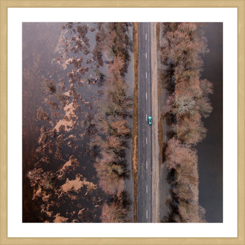 Marmont Hill - Multi-Color