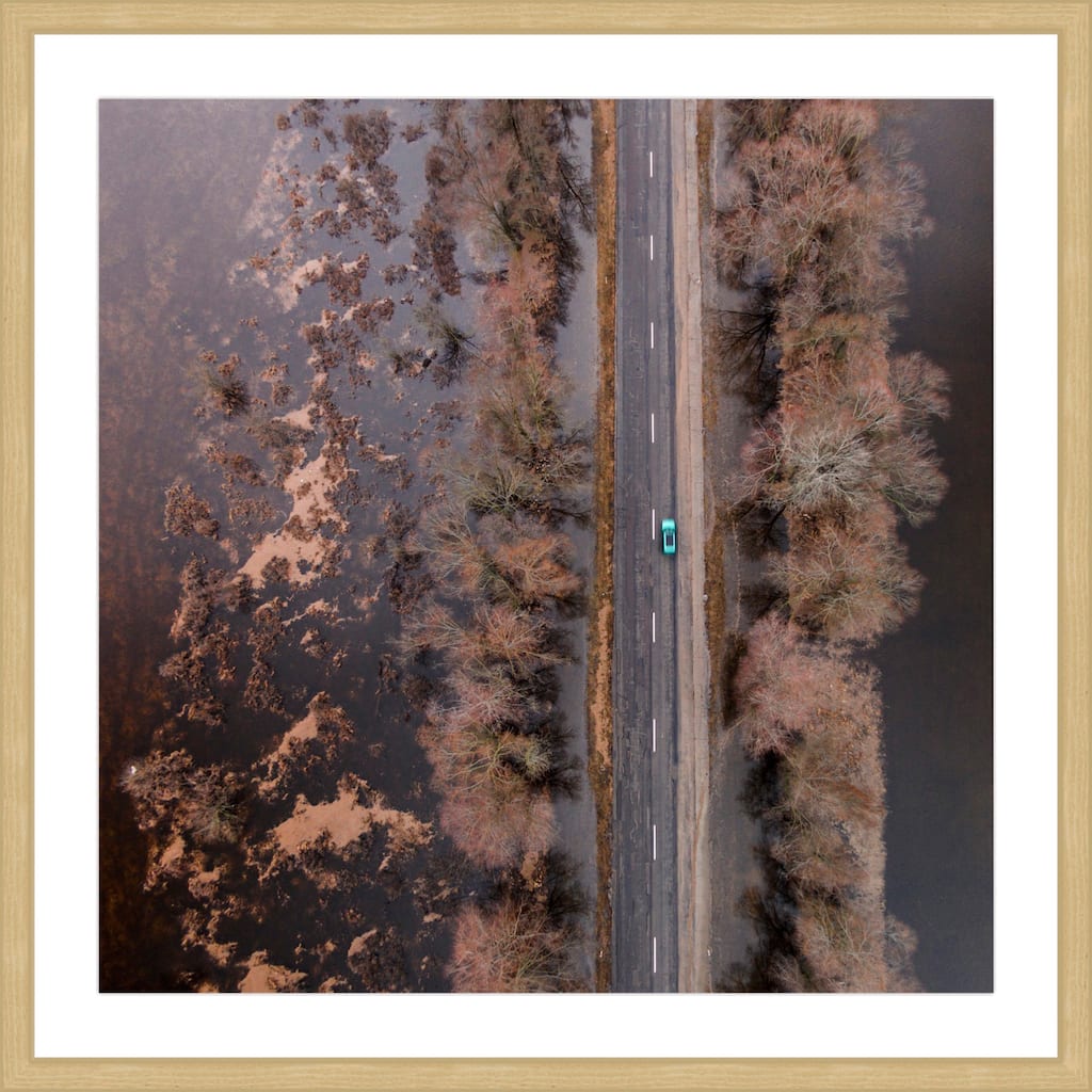 Marmont Hill - Multi-Color