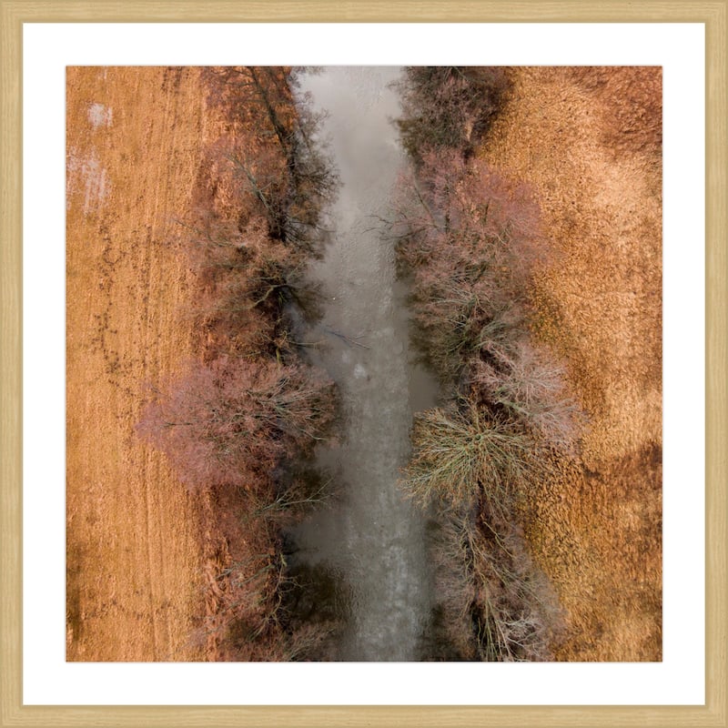 Marmont Hill - 'Marshy Path' by Karolis Janulis Framed Painting Print - Multi-Color