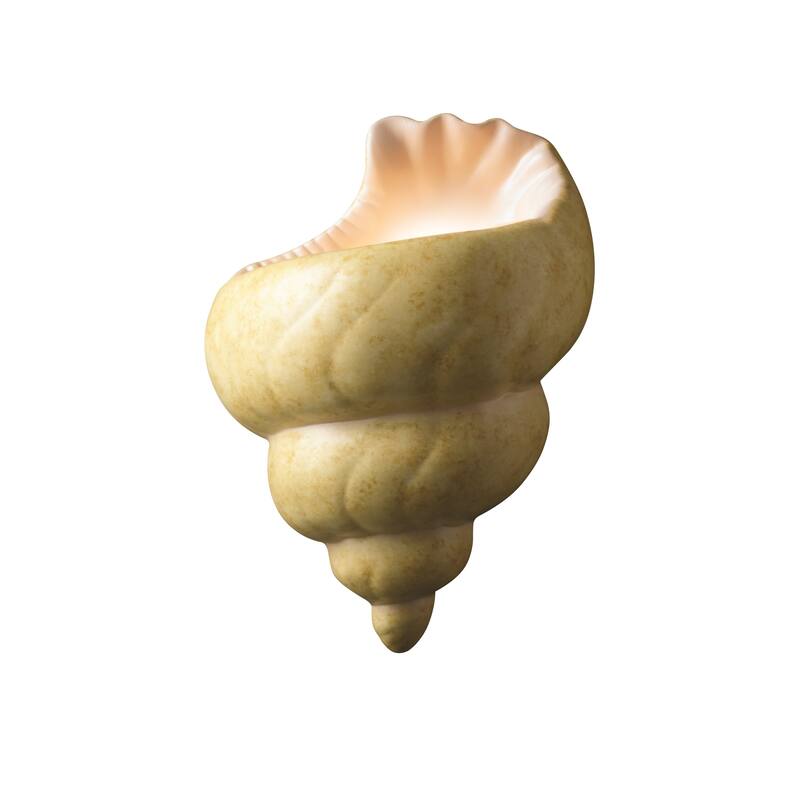 Justice Design Ambiance Conch Shell Wall Sconce - Ivory