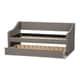preview thumbnail 13 of 19, Baxton Studio Kallikrates Modern Daybed with Trundle Bed