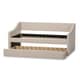 preview thumbnail 14 of 19, Baxton Studio Kallikrates Modern Daybed with Trundle Bed