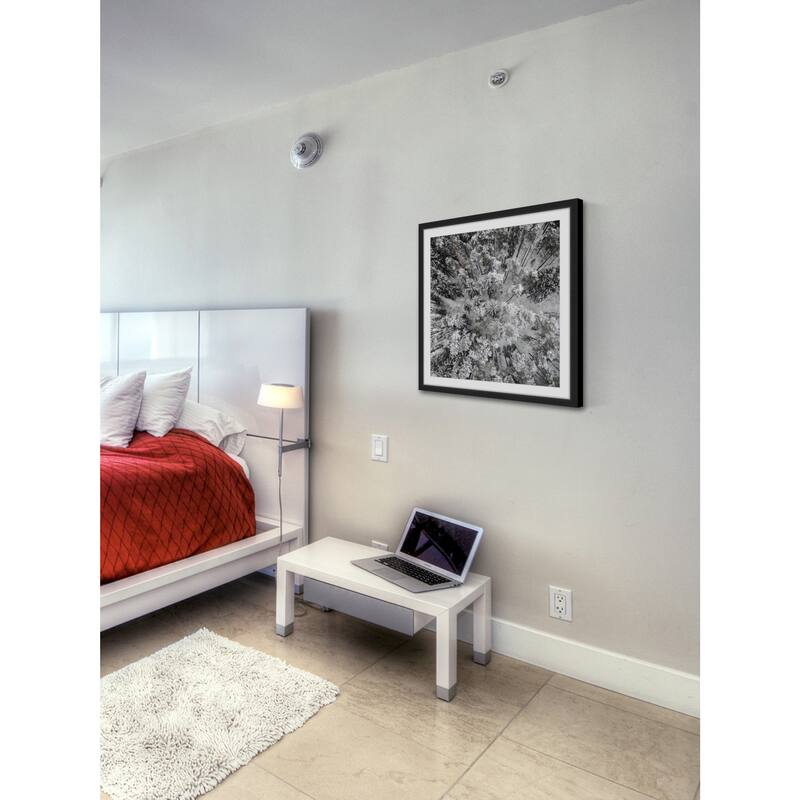 Marmont Hill - 'Tall and Cold' by Karolis Janulis Framed Painting Print - Multi-Color