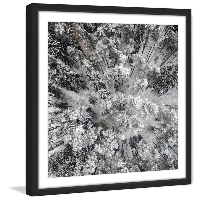 Marmont Hill - 'Tall and Cold' by Karolis Janulis Framed Painting Print - Multi-Color