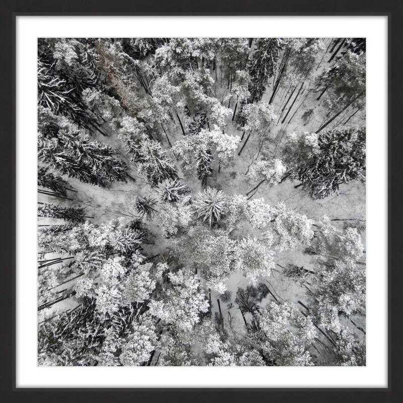 Marmont Hill - 'Tall and Cold' by Karolis Janulis Framed Painting Print - Multi-Color