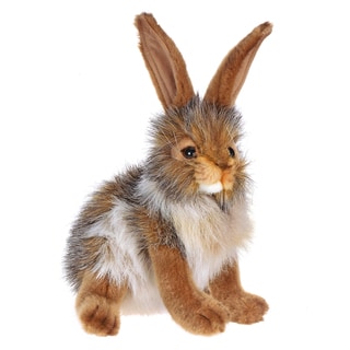 Blow bunny coupon
