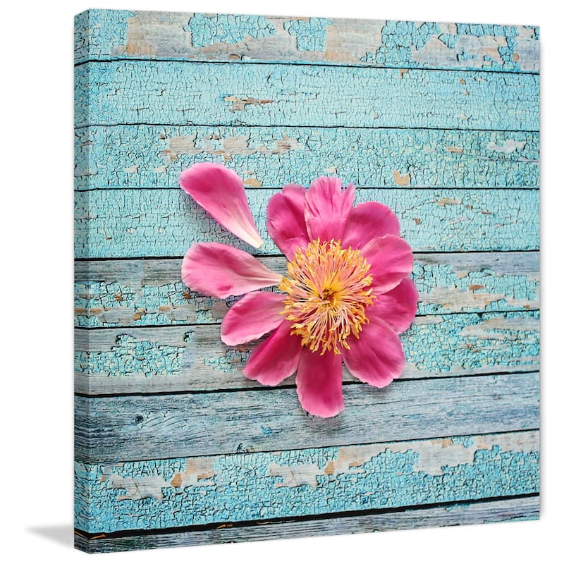 Marmont Hill - 'Peony On Aqua' by Sylvia Cook Painting Print on Wrapped Canvas - Multi-Color