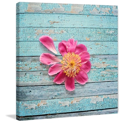 Marmont Hill - 'Peony On Aqua' by Sylvia Cook Painting Print on Wrapped Canvas - Multi-Color