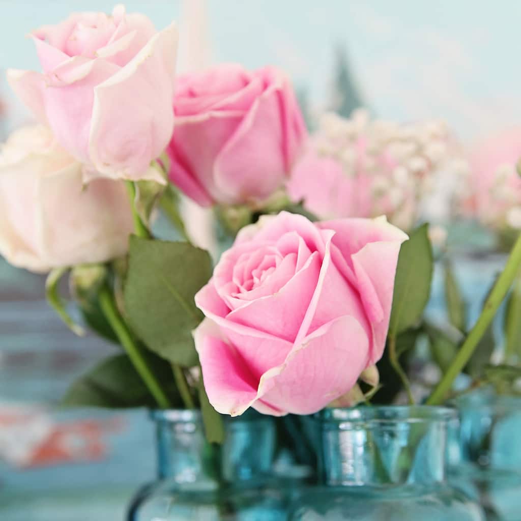 Marmont Hill - 'Pink Roses' by Sylvia Cook Painting Print on Wrapped Canvas - Multi-Color