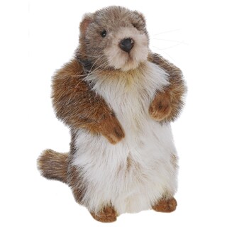 stuffed groundhog