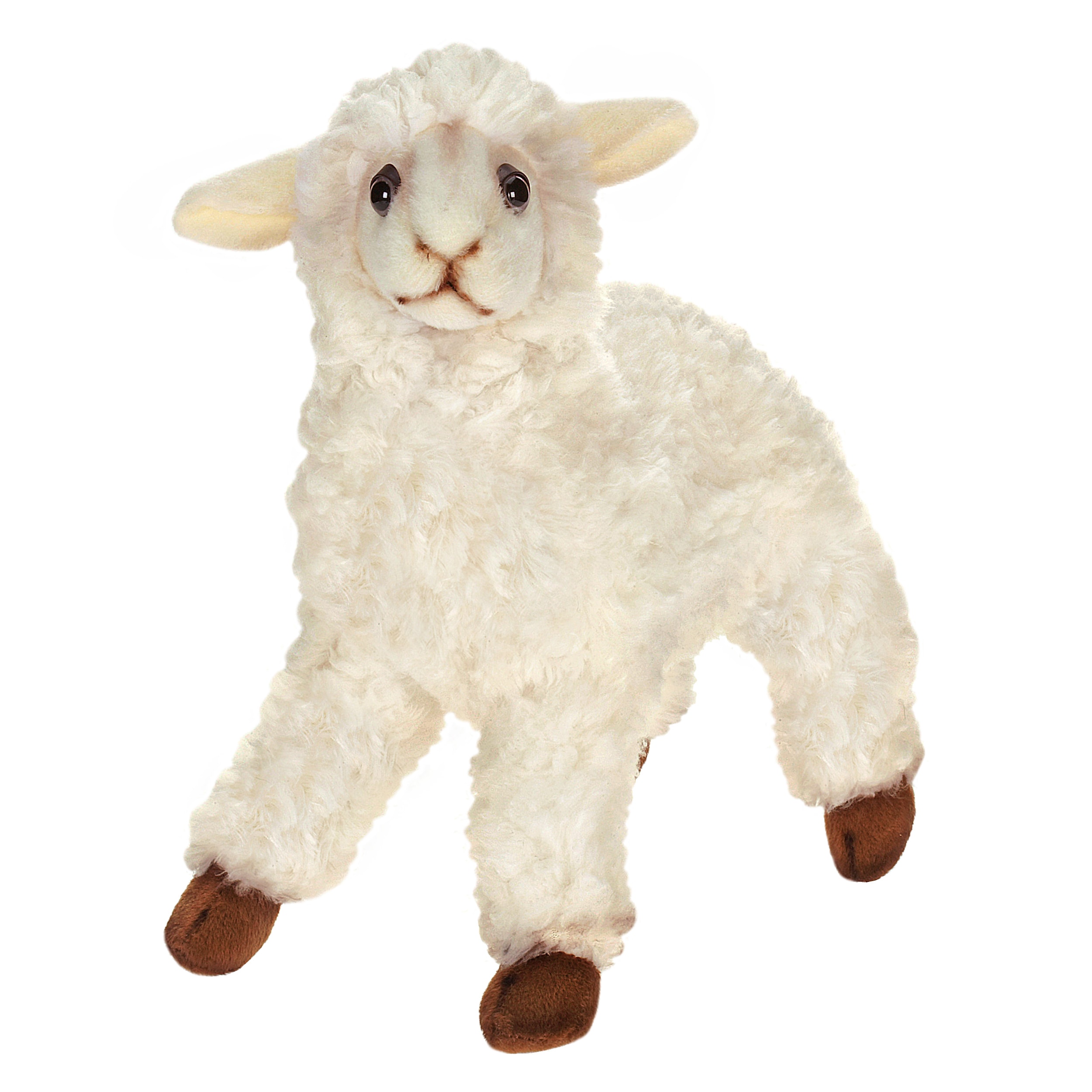 hansa sheep