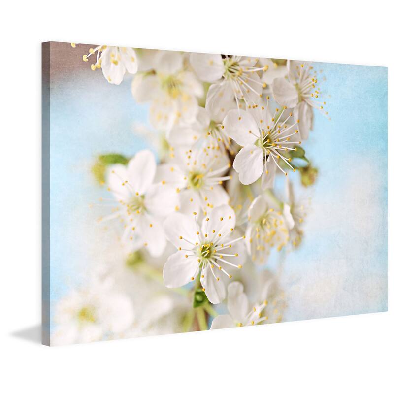 Marmont Hill - 'Springtime' by Sylvia Cook Painting Print on Wrapped Canvas - Multi-Color