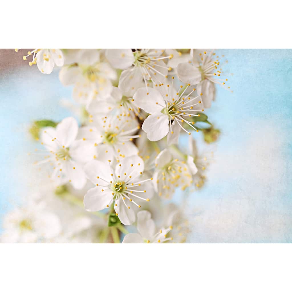 Marmont Hill - 'Springtime' by Sylvia Cook Painting Print on Wrapped Canvas - Multi-Color