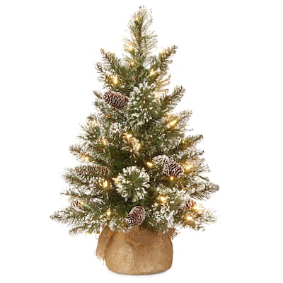 National Tree Company 2 ft. Glittery 2-foot Bristle Pine Tree with Battery Operated Warm White LED Lights - 2 Foot