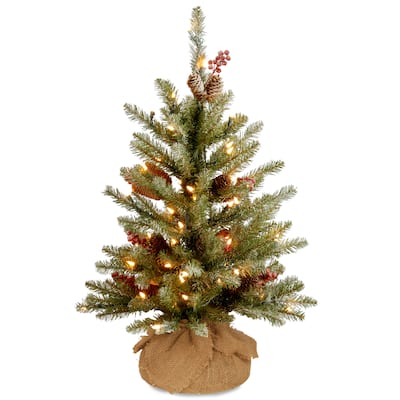 National Tree Company 2 ft. Dunhill Fir Tree with 15 Battery-operated Warm White LED Lights - 2 ft