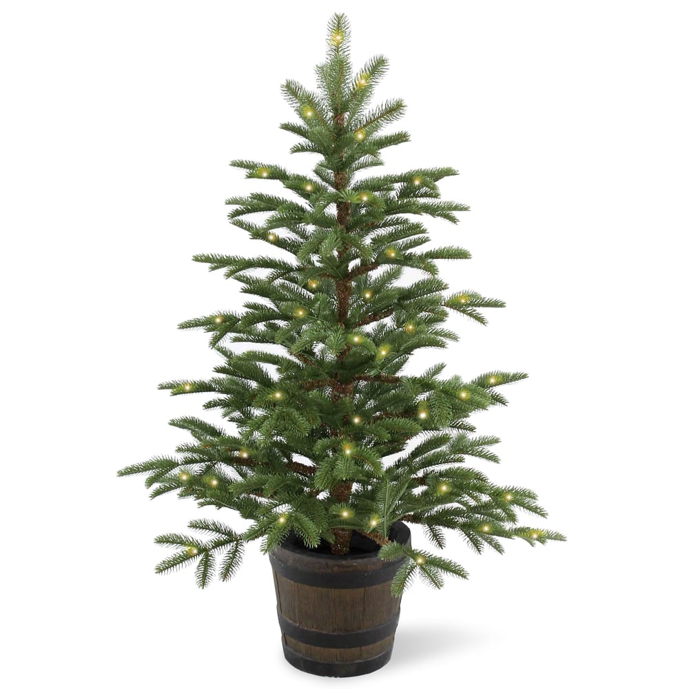 National Tree Company 4 ft. Norwegian Spruce Entrance Tree with Clear Lights - 4 Foot