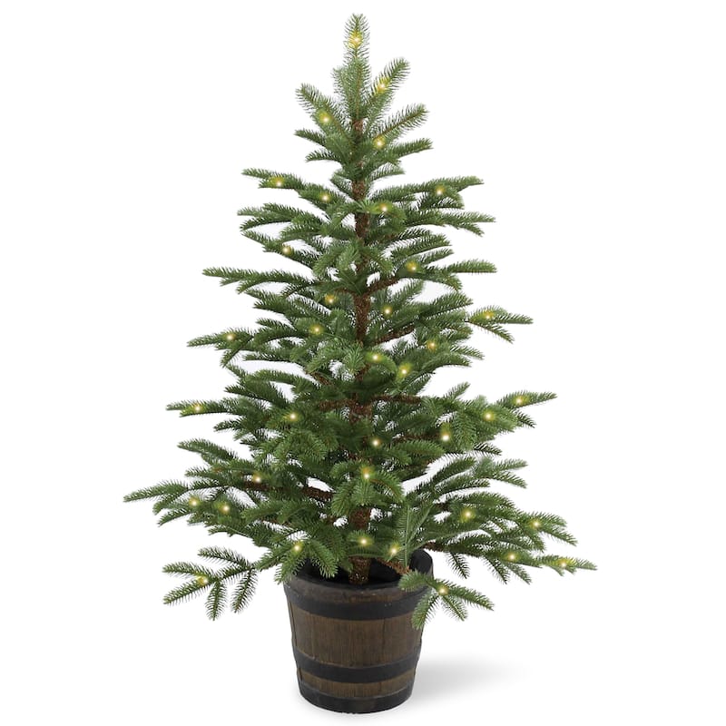 National Tree Company 4 ft. Norwegian Spruce Entrance Tree with Clear Lights - 4 Foot