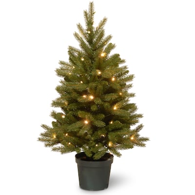 National Tree Company 3 ft. Jersey Fraser Fir Tree with Battery-operated Warm White LED Lights - 3 ft