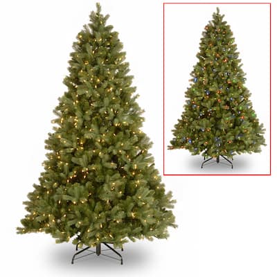 National Tree Company 7.5 ft. Bayberry Spruce Tree with Dual Color LED Lights