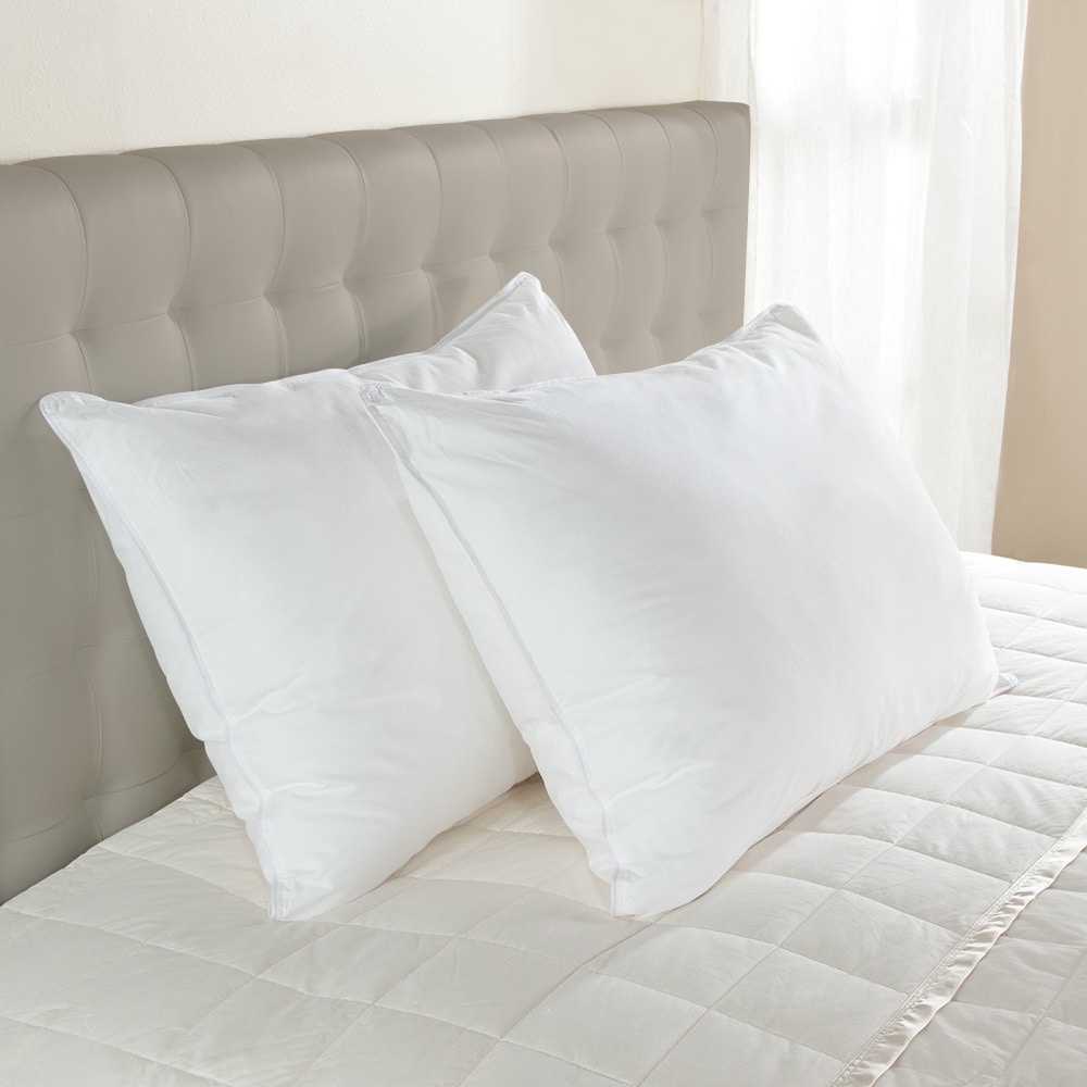 Cuddledown 800 Luxury Goose Medium Pillow, Standard