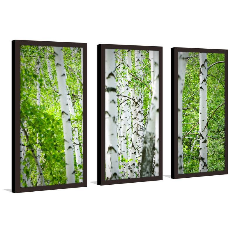 "Birch Trees I" Framed Plexiglass Wall Art Set of 3