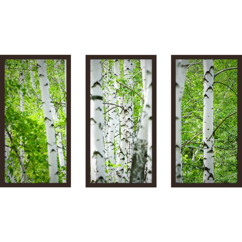 "Birch Trees I" Framed Plexiglass Wall Art Set of 3