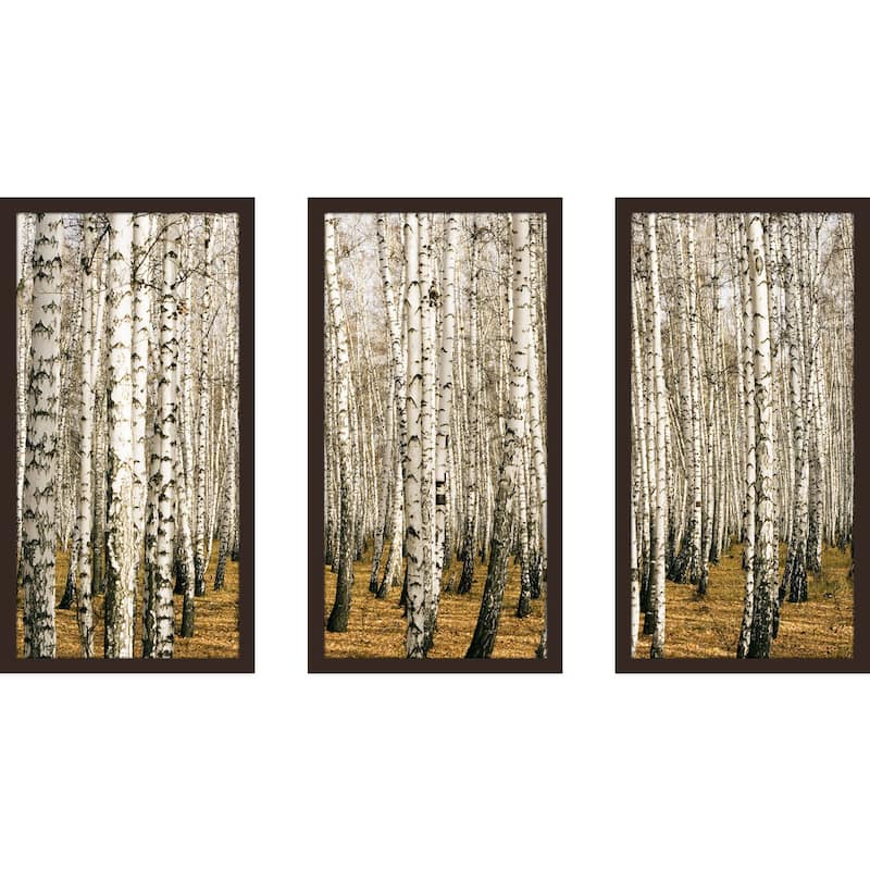 "Birch Trees 3" Framed Plexiglass Wall Art Set of 3