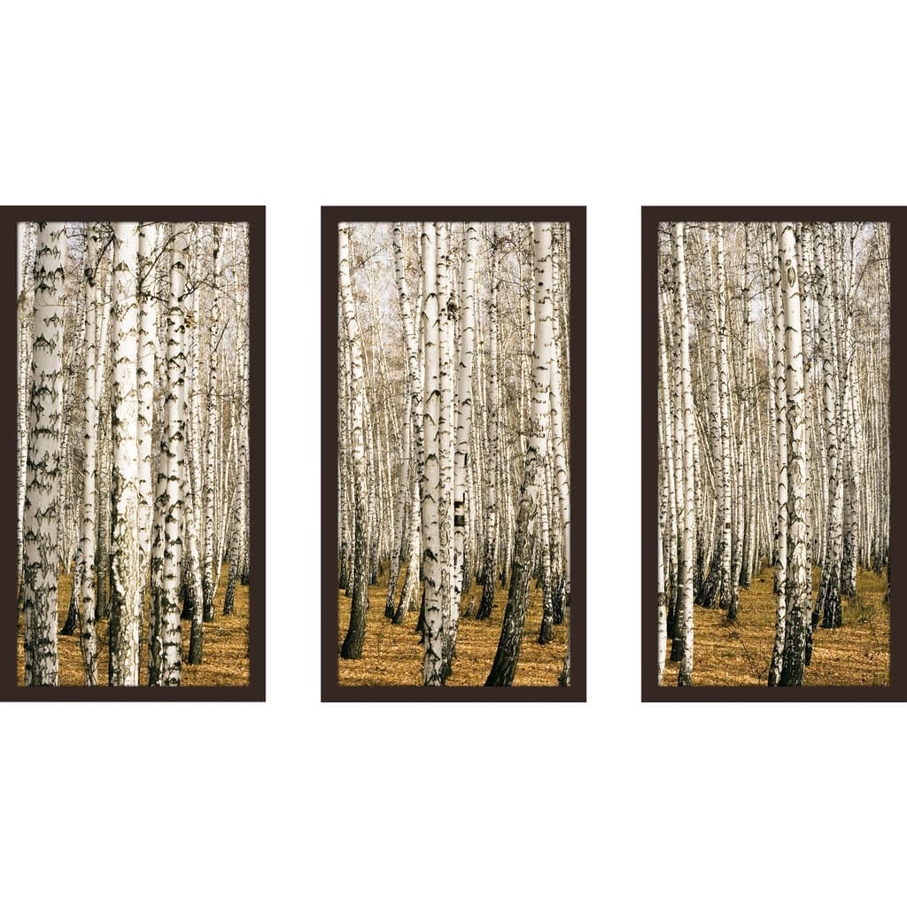 "Birch Trees 3" Framed Plexiglass Wall Art Set of 3