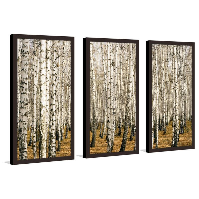 "Birch Trees 3" Framed Plexiglass Wall Art Set of 3