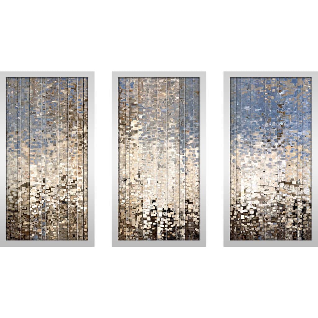 Mark Lawrence "Ezekiel 34 12 Max" Framed Plexiglass Wall Art Set of 3