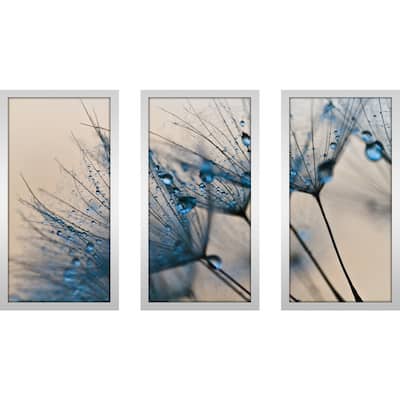 "Flower Water Droplets 2" Framed Plexiglass Wall Art Set of 3