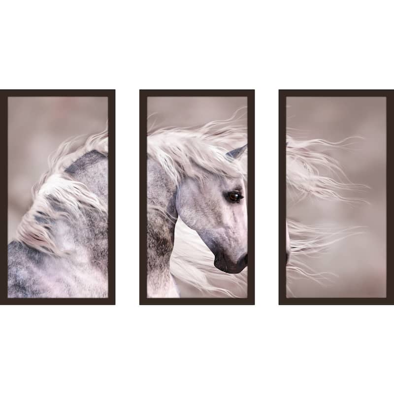 "White Beauty 1" Framed Plexiglass Wall Art Set of 3