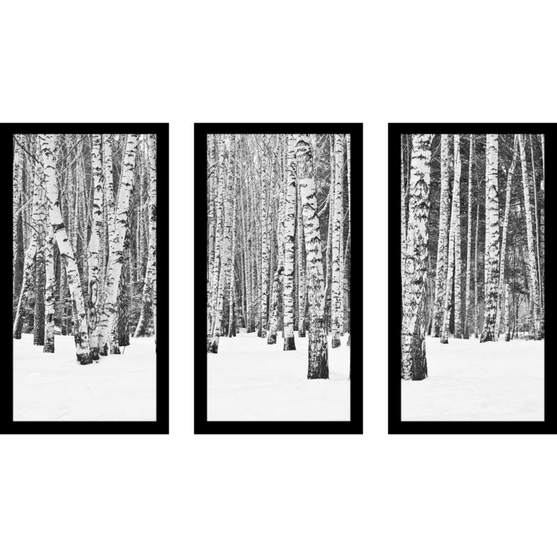 "Birch Trees In Winter" Framed Plexiglass Wall Art Set of 3