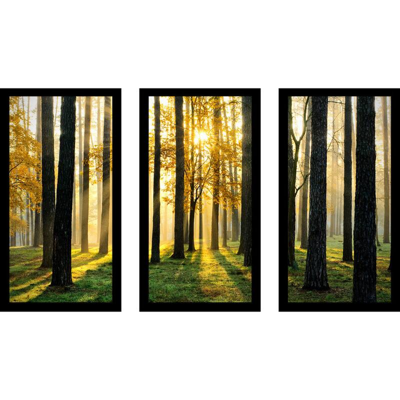 "Many Paths" Framed Plexiglass Wall Art Set of 3 Bed Bath & Beyond