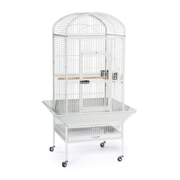 cheap white bird cages