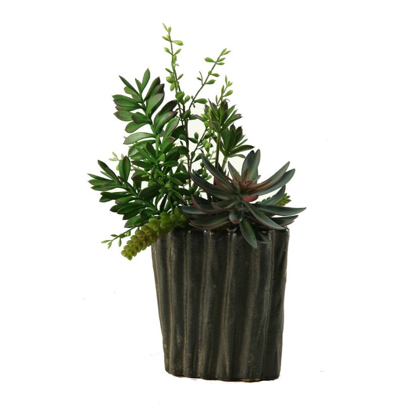 D&W Silks Succulents, Aloe and Dracaena Heads in Oval Ceramic Planter - Mixed