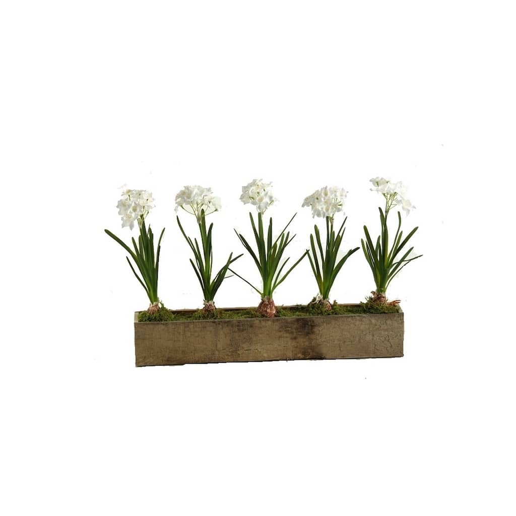D&W Silks Paper Whites in Rectangle Wooden Planter - White